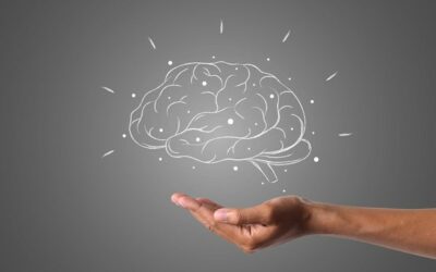 Cerebro: ¿Cuáles son las mejores verduras para su desarrollo?