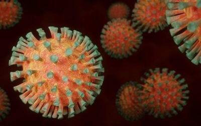 Así fue cómo un virus salvó a hombre de bacteria resistente a todos los antibióticos